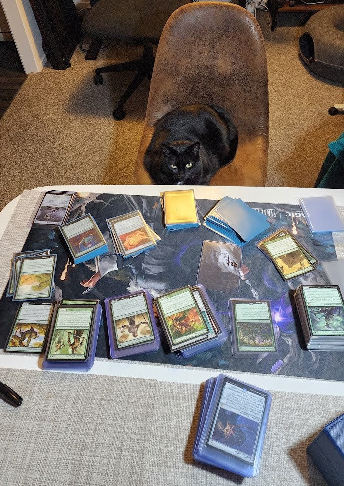 Tutu beside a game of Magic: The Gathering
